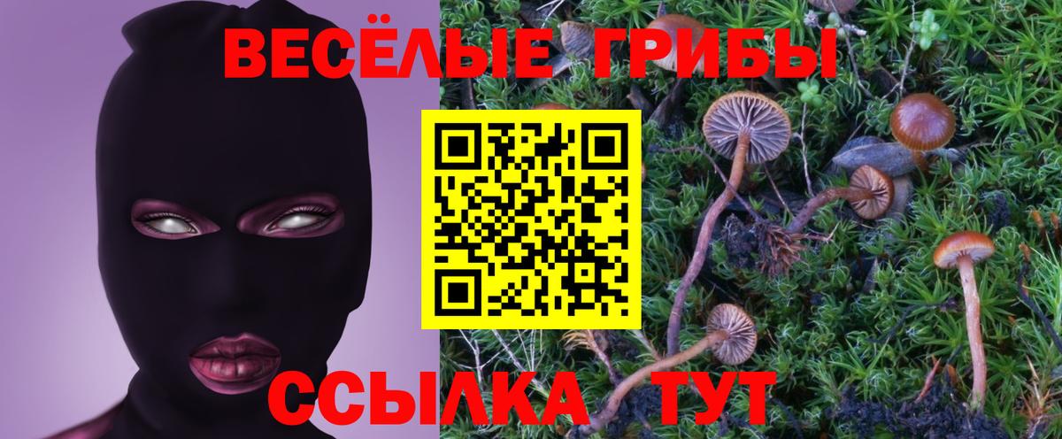 Псилоцибиновые грибы мицелий Сертолово
