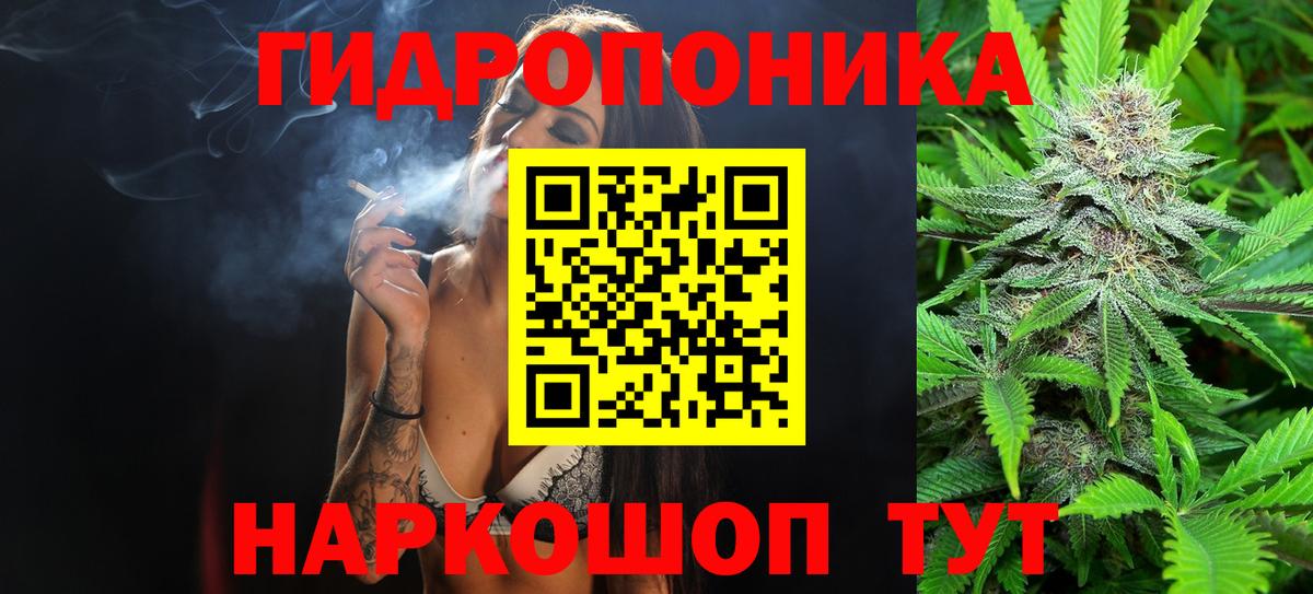 Конопля планчик  Вход с VPN  Сертолово  Шишки марихуана марихуана  Шишки марихуана MAZAR 
